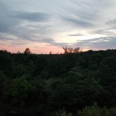 Inn On The Intervale Judique Εξωτερικό φωτογραφία