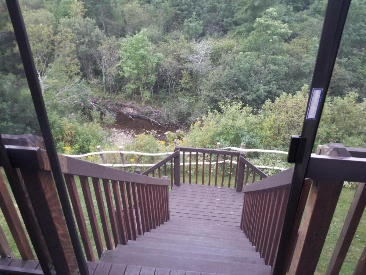 Inn On The Intervale Judique Εξωτερικό φωτογραφία