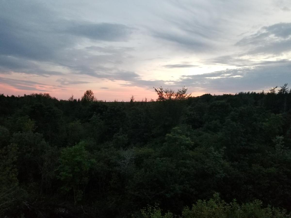 Inn On The Intervale Judique Εξωτερικό φωτογραφία